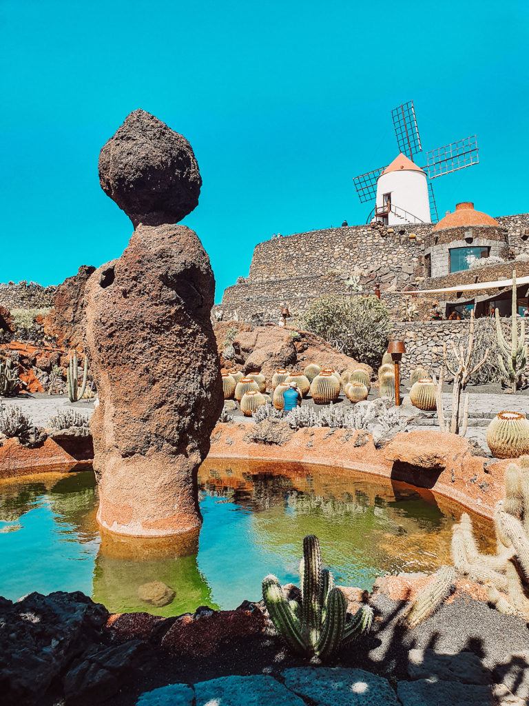 MainRoad Studio - Lanzarote - Jardin de cactus 3