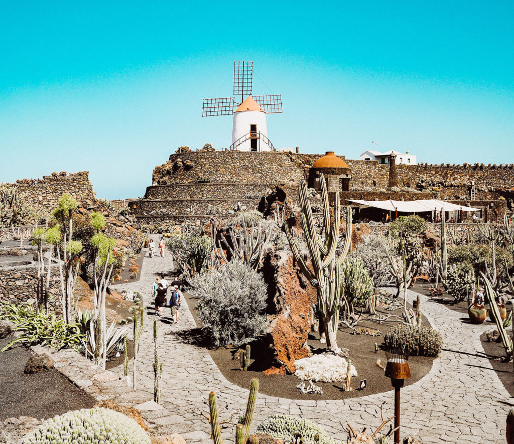 MainRoad Studio - Lanzarote - Jardin de cactus 1